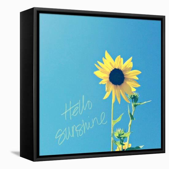 Hello Sunshine-Lisa Hill Saghini-Framed Stretched Canvas