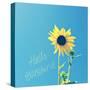 Hello Sunshine-Lisa Hill Saghini-Stretched Canvas