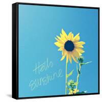 Hello Sunshine-Lisa Hill Saghini-Framed Stretched Canvas