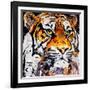 Hello Tiger-James Grey-Framed Art Print