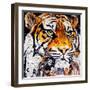 Hello Tiger-James Grey-Framed Art Print