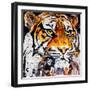 Hello Tiger-James Grey-Framed Art Print