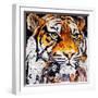 Hello Tiger-James Grey-Framed Art Print