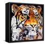 Hello Tiger-James Grey-Framed Stretched Canvas