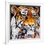 Hello Tiger-James Grey-Framed Art Print