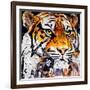 Hello Tiger-James Grey-Framed Art Print