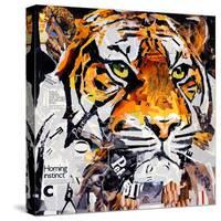 Hello Tiger-James Grey-Stretched Canvas