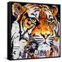 Hello Tiger-James Grey-Framed Stretched Canvas