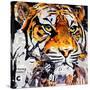 Hello Tiger-James Grey-Stretched Canvas