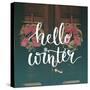 Hello Winter Text Overlay on Filtered Photo with Decor Wreaths on the Vintage Door. Typography Bann-kotoko-Stretched Canvas