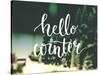 Hello Winter Typography Overlay on Blurred Photo of Christmas Trees. Lettering Banner for Greeting-kotoko-Stretched Canvas
