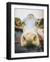 Hello-Denise Brown-Framed Art Print