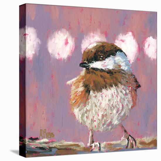 Hellow Chickadee-Molly Reeves-Stretched Canvas