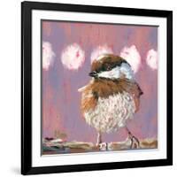 Hellow Chickadee-Molly Reeves-Framed Photographic Print