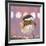 Hellow Chickadee-Molly Reeves-Framed Photographic Print