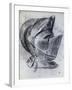 Helmet by Titian-null-Framed Giclee Print