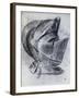 Helmet by Titian-null-Framed Giclee Print