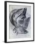 Helmet by Titian-null-Framed Giclee Print