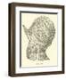 Helmet of Charles V-null-Framed Giclee Print