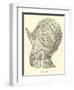 Helmet of Charles V-null-Framed Giclee Print