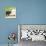 Helmeted guineafowl (Numida meleagris) with keets, Serengeti National Park, Namibia, Africa-Panoramic Images-Photographic Print displayed on a wall