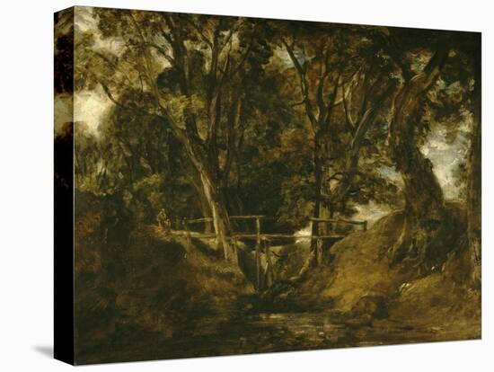 Helmingham Dell. Vallon dans le parc de Helmingham (Suffolk)-John Constable-Stretched Canvas