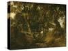 Helmingham Dell. Vallon dans le parc de Helmingham (Suffolk)-John Constable-Stretched Canvas