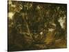 Helmingham Dell. Vallon dans le parc de Helmingham (Suffolk)-John Constable-Stretched Canvas