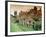 Helmsley, Yorkshire, England, United Kingdom-Peter Scholey-Framed Photographic Print