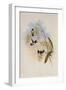 Heloisa's Flame-Bearer, Selasphorus Helois?-John Gould-Framed Giclee Print