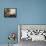 Heloise and Abelard-Robert Bateman-Framed Stretched Canvas displayed on a wall