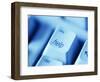 Help Button on Computer Keyboard-Lee Frost-Framed Photographic Print