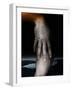 Helping Hand, 2013-Johan Lilja-Framed Giclee Print