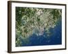 Helsinki, Satellite Image-PLANETOBSERVER-Framed Photographic Print