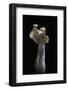 Helvella Crispa (White Saddle, Elfin Saddle, Common Helvel)-Paul Starosta-Framed Photographic Print
