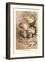 Helvella Crispa-William Hamilton Gibson-Framed Art Print