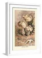 Helvella Crispa-William Hamilton Gibson-Framed Art Print