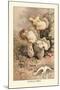 Helvella Crispa-William Hamilton Gibson-Mounted Art Print