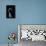 Helvella Monachella (Elfin Saddle)-Paul Starosta-Framed Stretched Canvas displayed on a wall