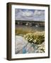 Helvick Head Pier, County Waterford, Munster, Republic of Ireland, Europe-Richard Cummins-Framed Photographic Print