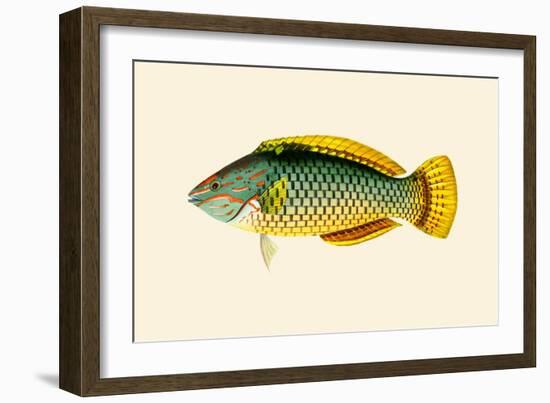 Hembili-Giriwah - Basket Parrot-John Whitchurch Bennett-Framed Art Print