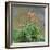 Hemerocallis, 1914-17-Claude Monet-Framed Giclee Print