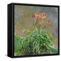 Hemerocallis, 1914-17-Claude Monet-Framed Stretched Canvas