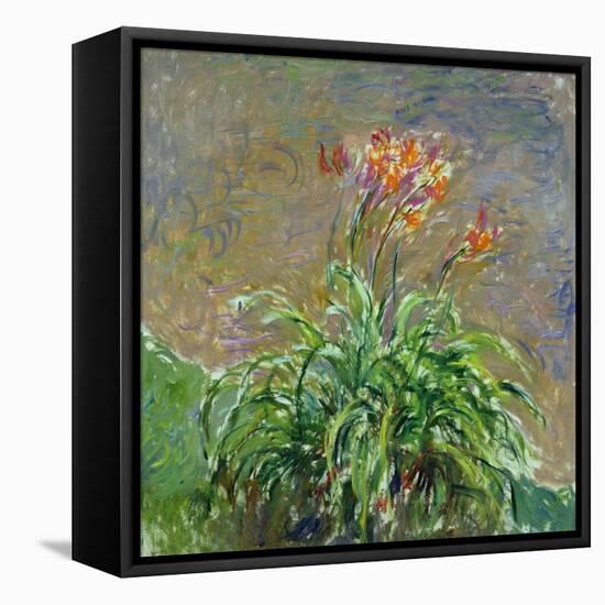 Hemerocallis, 1914-17-Claude Monet-Framed Stretched Canvas