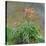 Hemerocallis, 1914-17-Claude Monet-Stretched Canvas