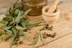 Medicinal Eucalyptus-Hemeroskopion-Laminated Photographic Print