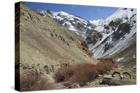 Hemis National Park in Winter, Ladakh, India, Asia-Peter Barritt-Stretched Canvas