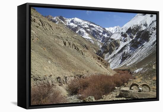 Hemis National Park in Winter, Ladakh, India, Asia-Peter Barritt-Framed Stretched Canvas