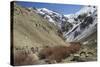 Hemis National Park in Winter, Ladakh, India, Asia-Peter Barritt-Stretched Canvas