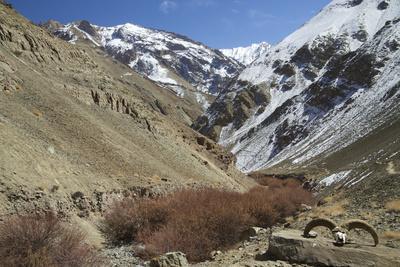 https://imgc.allpostersimages.com/img/posters/hemis-national-park-in-winter-ladakh-india-asia_u-L-PSLPPY0.jpg?artPerspective=n